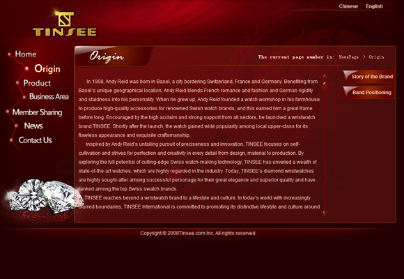 网站设计,集团公司网站设计