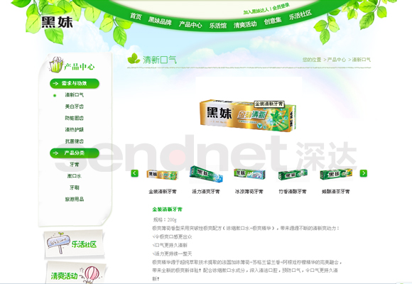 网站设计,网站建设，网络营销推广