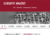 品牌网站建设，培训网站建设案例